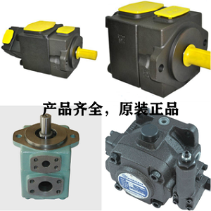 <a href='http://wxdwwl.com' target='_blank'><u>YUKEN葉片泵</u></a>